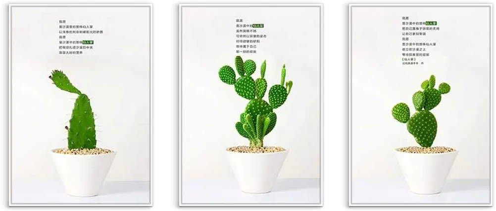bo 3 tranh chau xuong rong lesd1239 wh